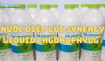 Nước diệp lục Synergy Liquid Chlorophyll