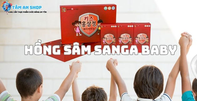 Review Hồng sâm Baby SangA