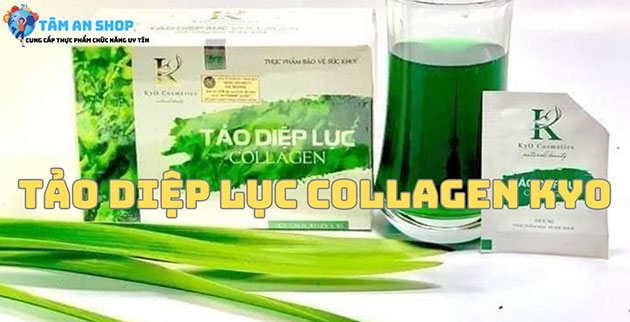 Tảo diệp lục collagen KYO