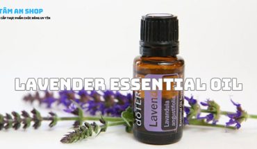 Tinh dầu Lavender Essential Oil