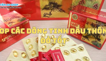 Top các dòng Tinh dầu thông đỏ tốt