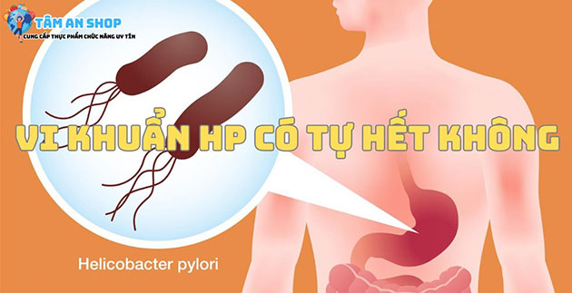 Vi khuẩn Hp có tự hết không