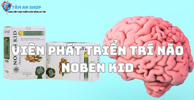 Viên phát triển trí não Noben Kid