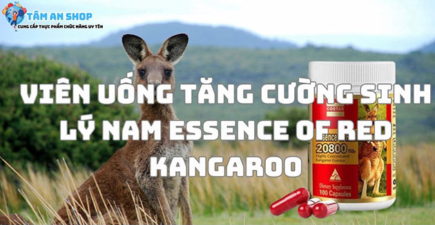 Viên uống tăng cường sinh lý nam Essence Of Red Kangaroo